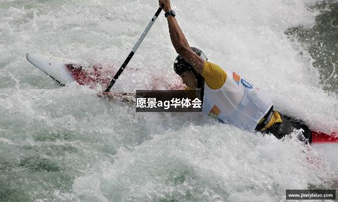 愿景ag华体会